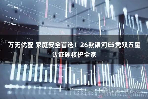 万无优配 家庭安全首选！26款银河E5凭双五星认证硬核护全家